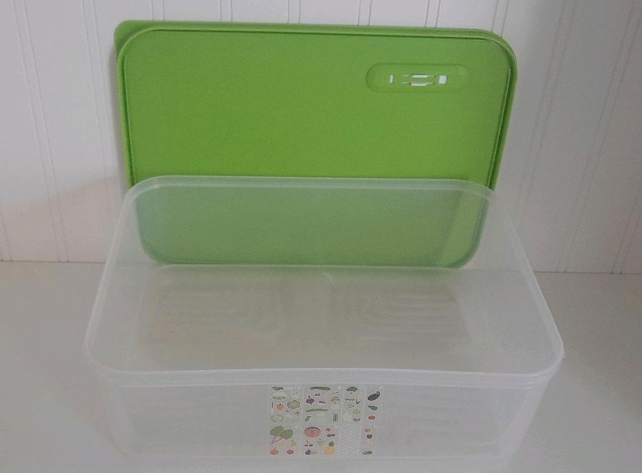 TUPPERWARE XXL KlimaOase Kühlschrank 9,9 L grün in Braunschweig