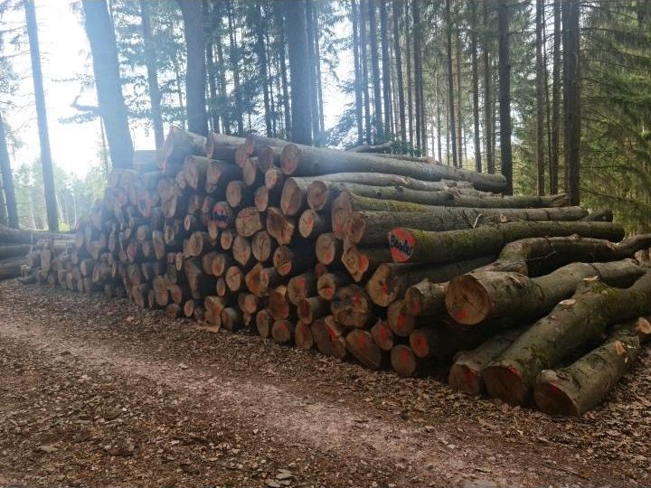 Stammholz Buche Brennholz ■Sonderposten■ inkl Lieferung frei Hof in Aschaffenburg