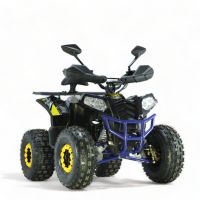 XXL Elektro Quad Miniquad 1200 Watt 48V Tacho 8 Zoll Nordrhein-Westfalen - Gelsenkirchen Vorschau