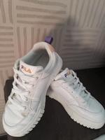 guterhaltene Sneakers Gr. 36 Niedersachsen - Nordenham Vorschau