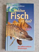 " Welcher Fisch ist das? Baden-Württemberg - Esslingen Vorschau