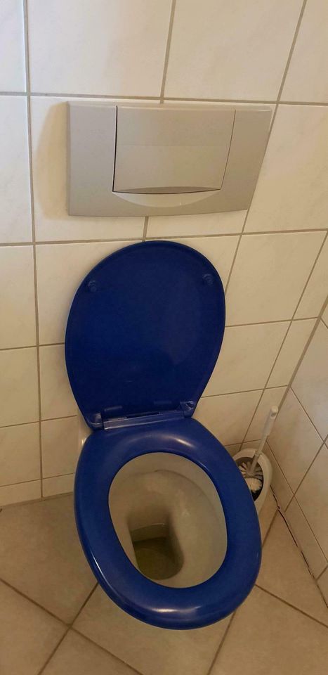 Badezimmer komplett Set - Schrank Waschbecken Dusche und und.. in Kirchweidach
