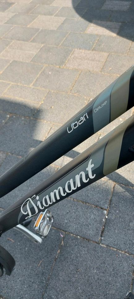 Diamant Damen Fahrrad Urbari Deluxe in Thalmassing