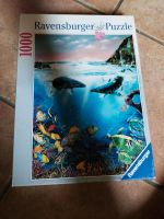 Ravensburger Puzzle 1000 Teile sea of Dreams Meer Tiere Fische Niedersachsen - Hemmingen Vorschau