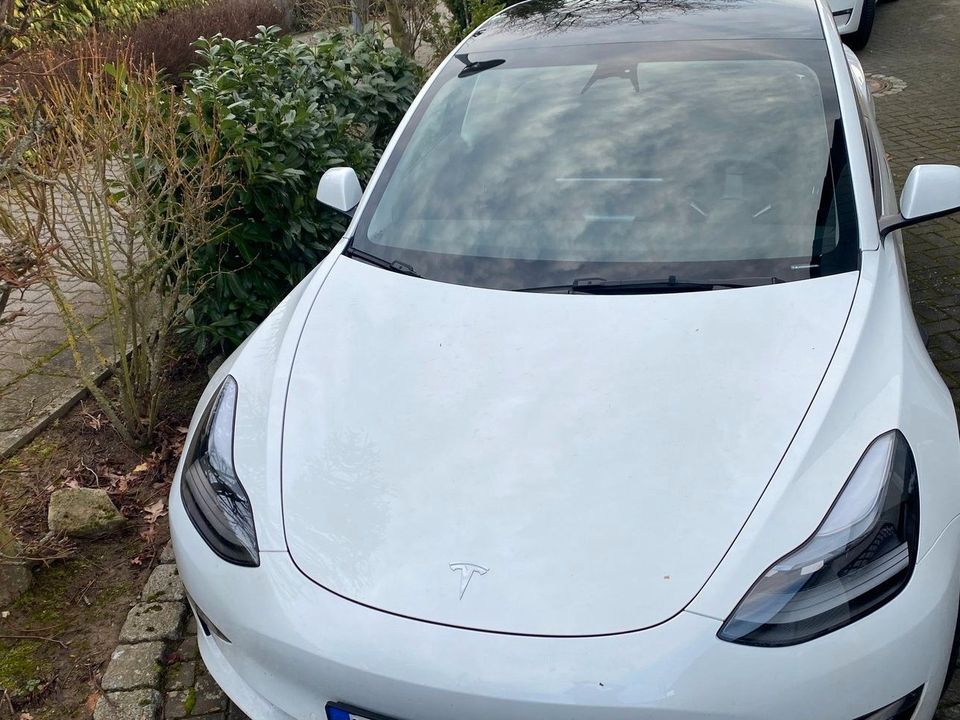 Tesla Model 3 Dual LR, AHK, 8-fach bereift in Neu-Anspach