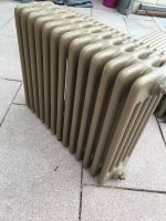 BEMM Heizkörper Radiator Röhrenradiator antik Gusseisen Heizung Baden-Württemberg - Owingen Vorschau