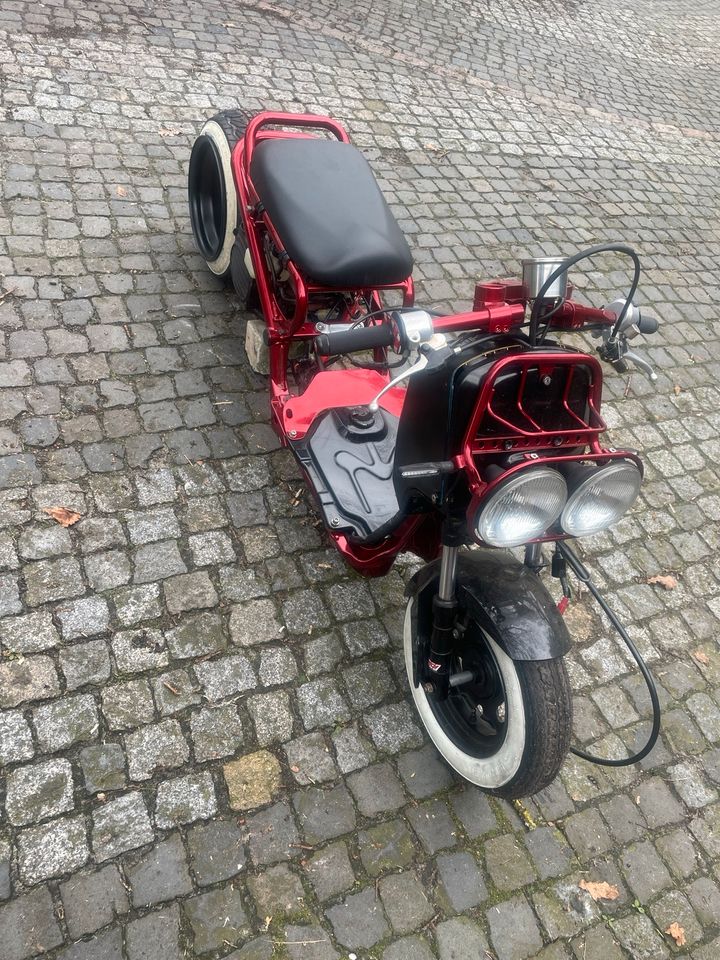 Honda Zoomer in Bad Zwischenahn