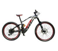 Audi E-Bike Mountainbike Fahrrad Größe M Powered by Fantic 4J3050 Sachsen-Anhalt - Wernigerode Vorschau