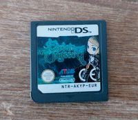 Etrian Odyssey für Nintendo DS - JRPG Baden-Württemberg - Vaihingen an der Enz Vorschau