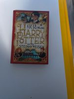 Harry Potter Buch Hessen - Fritzlar Vorschau
