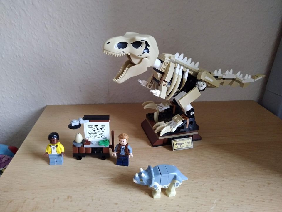 Lego 76940    T Rex Dinosaurier Fossilienausstellung in Berlin