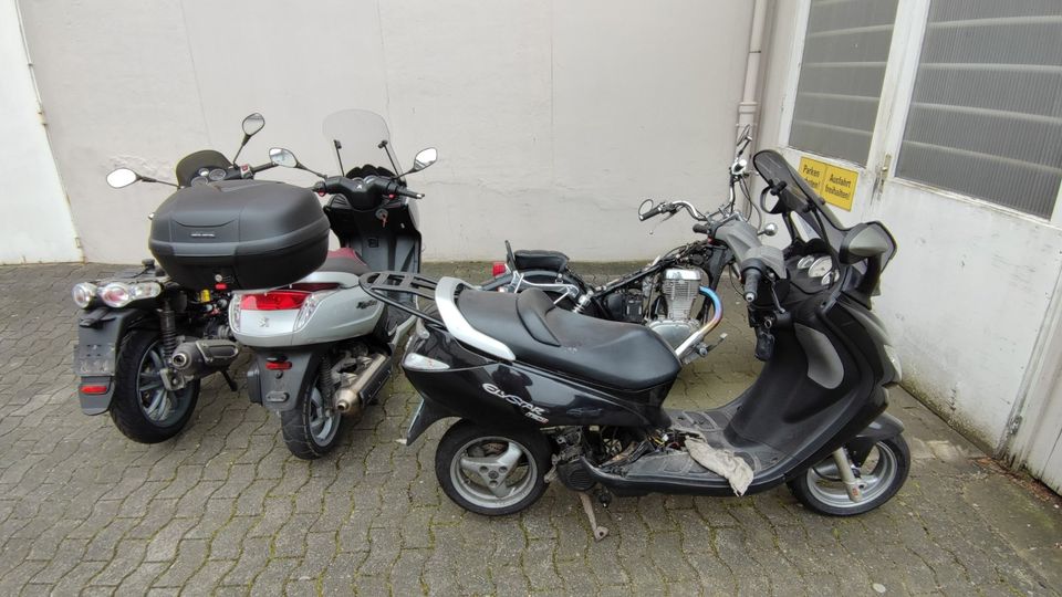 Piaggio Carnaby Peugeot Elystar Aprilia Mojito Kymco Grand Dink 5 in Werther (Westfalen)