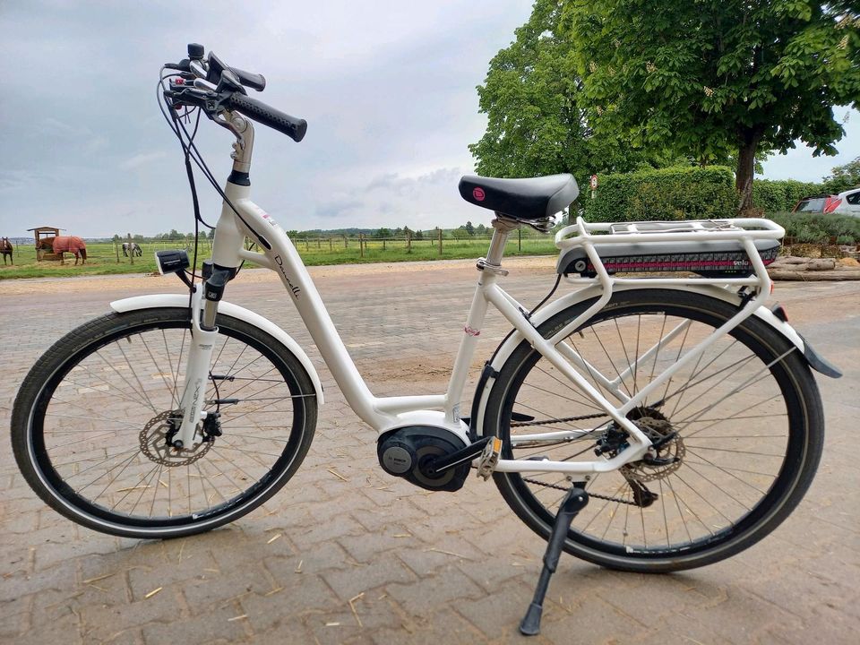 Ebike Citybike Dancelli in Reutlingen