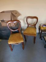 2 extravagante Stühle mit gepolstertem Sitz Niedersachsen - Bad Sachsa Vorschau
