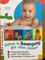 Buch ‚Babys in Bewegung‘ Niedersachsen - Buchholz in der Nordheide Vorschau