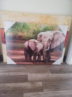 Bild  Elefantenmutter mit Kalb Brandenburg - Nauen Vorschau