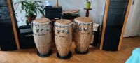 LP Palladium Govanni Congas Set Rostock - Evershagen-Süd Vorschau