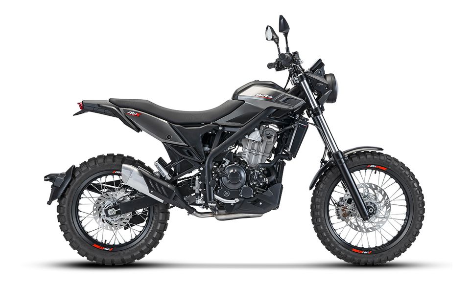 BETA Alp X Scrambler 350 MY24 1x auf Lager! Fahrbar ab 18 Jahre! in Clenze