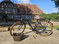 Damenrad Wittich City Sport Fahrrad Niedersachsen - Walsrode Vorschau