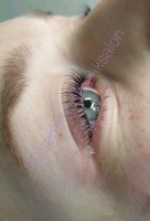 Wimpern Lash Lifting Häfen - Bremerhaven Vorschau