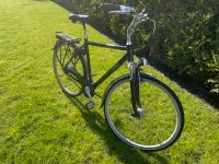 Koga Miyata Herrenrad Fahrrad Tourer 8 Niedersachsen - Hage Vorschau