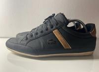 Schwarz braune Herrenschuhe von Lacoste chaymon Niedersachsen - Hatten Vorschau