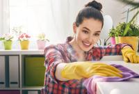Haushaltshilfe ( m/w/d ) Sachsen-Anhalt - Halle Vorschau