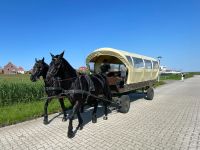 Wunderschönes Passgespann, Warmblut Wallache Rappen Nonius Niedersachsen - Norden Vorschau