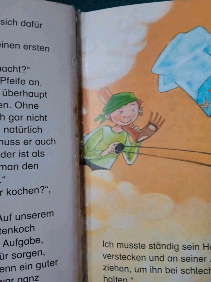 10 Leselöwen,... Tiger Fussball Kinder Bücher in Lichtenfels