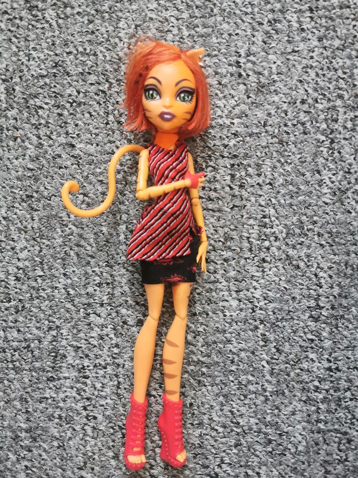 Monster high Puppen in Kiel