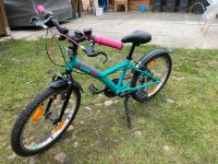 Fahrrad Mädchen 20 Zoll Brandenburg - Treuenbrietzen Vorschau