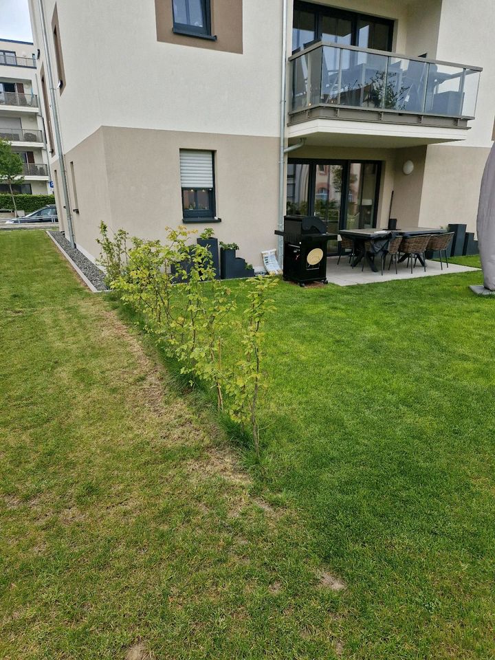 Doppelstabmattenzaun mit Gartentor zum abschließen (ca. 22.5m) in Rastatt