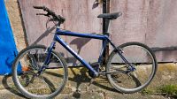 Altes Fahrrad 28" an Bastler Sachsen-Anhalt - Halle Vorschau