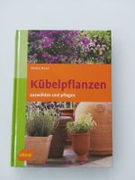 Kübelpflanzen auswählen u.pflegen Baden-Württemberg - Neckarsulm Vorschau