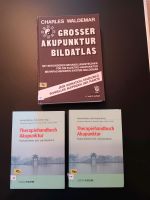 34 Akupunkturbücher TCM etc. auch Einzeln Rheinland-Pfalz - Herxheim am Berg Vorschau