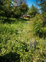 Gartengrundstück Geisenheim 600 qm Hessen - Rüdesheim am Rhein Vorschau