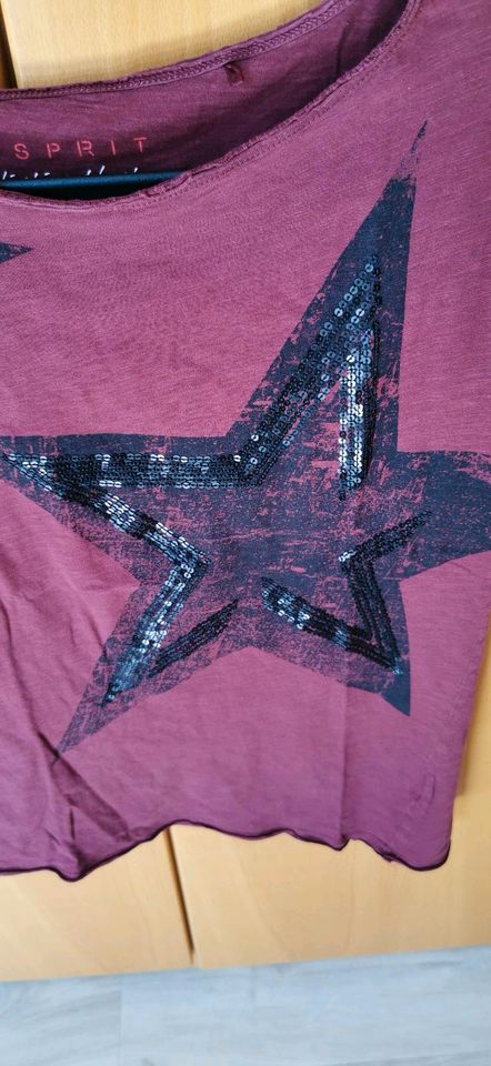 Esprit T-shirt Damen dunkelrot mit schwarzen Sternen S in Osnabrück