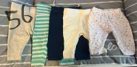 Babyleggins 50/56 Nordrhein-Westfalen - Werne Vorschau