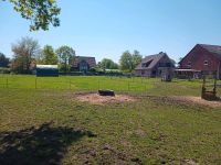 Kleiner privater Offenstall hat Platz für zwei Rentner Niedersachsen - Oldendorf (Landkreis Stade) Vorschau