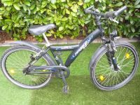 Pegasus Avanti Sport 26 Zoll Fahrrad Bergedorf - Hamburg Lohbrügge Vorschau