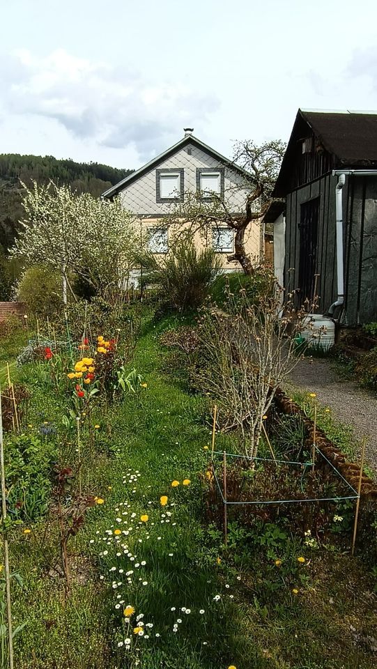 großer Garten mit Siedlungshaus, Garage + Carport Baugrundstück in Suhl