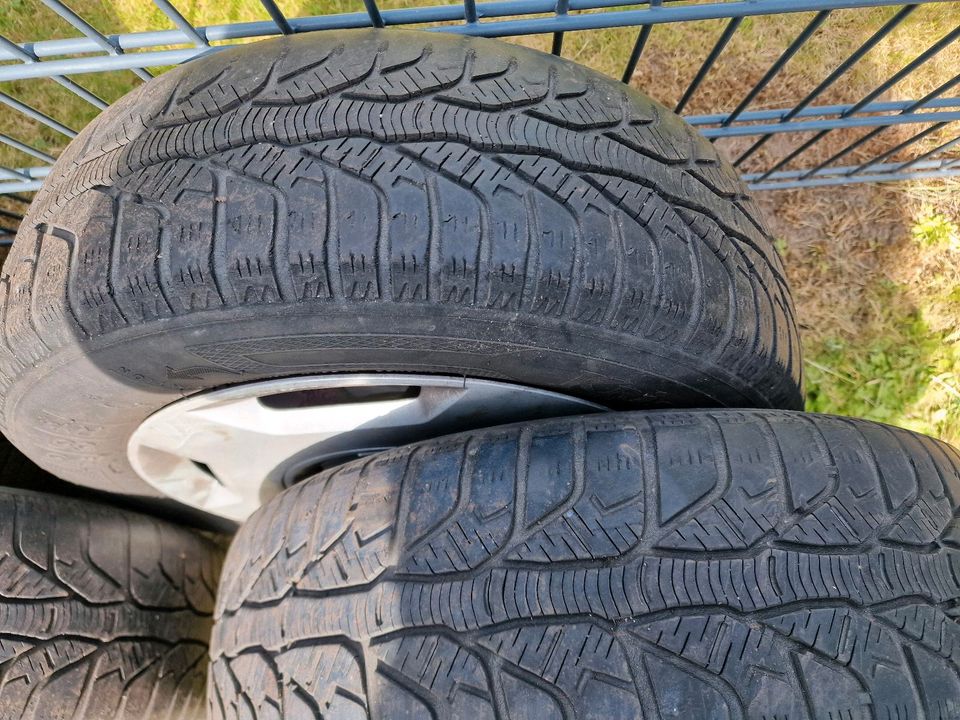 Sommerreifen auf Stahlfelgen 175/65 R14 Ford Fiesta in Nürnberg (Mittelfr)