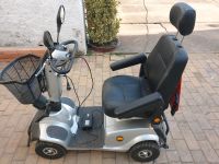 Rolektro Eco mobil 15 Rollator Mobilitätshilfe Fahrzeug Scooter Sachsen - Beilrode Vorschau