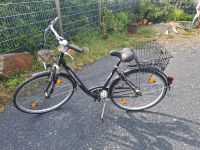 FAHRRAD Hercules Nordrhein-Westfalen - Königswinter Vorschau