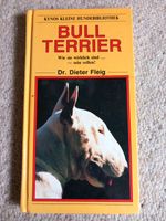 Bullterrier Brandenburg - Oberkrämer Vorschau