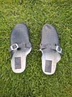Frauen Schuhe Sachsen-Anhalt - Dessau-Roßlau Vorschau
