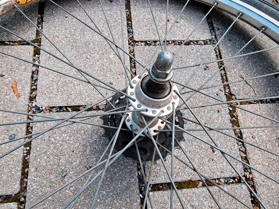 Fahrrad Mountainbike 26" komplett Reifen Räder Felgen in Dresden
