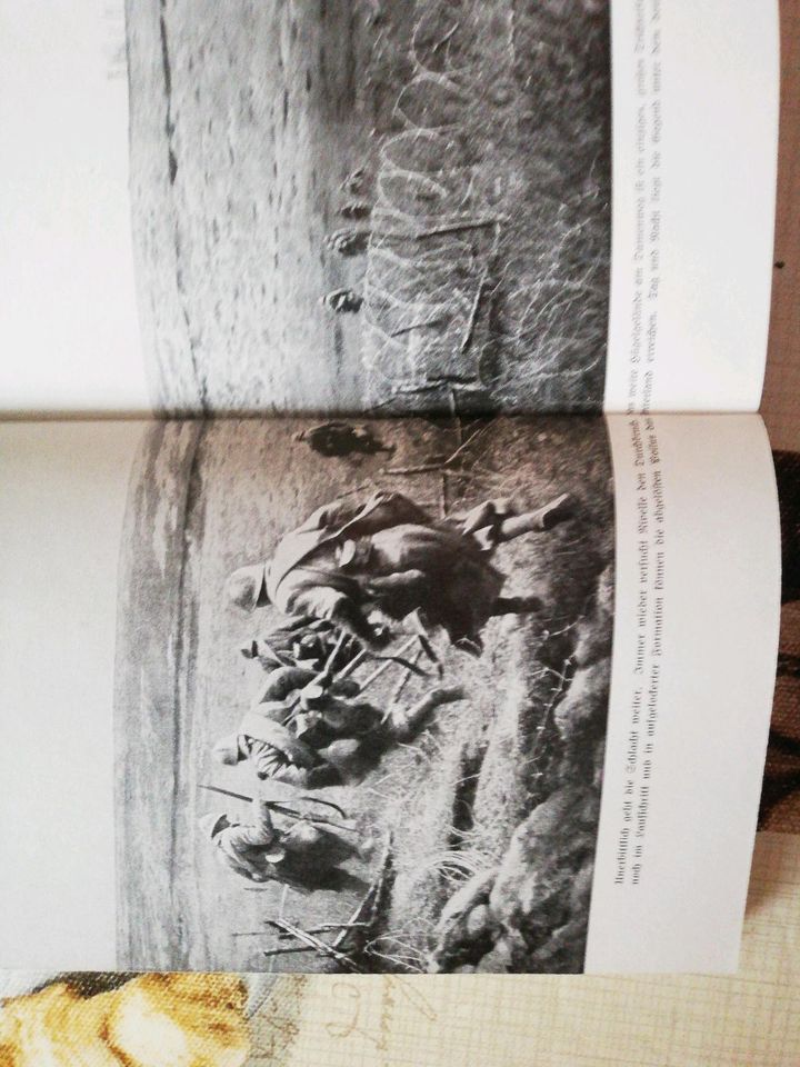 Buch 1.WK"Eine Armee meutert " Schicksalstage Frankreichs 1917 in Dresden