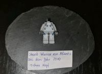 Lego Minifigur Shark Warrior Atlantis Sachsen - Johanngeorgenstadt Vorschau