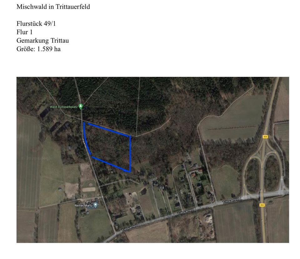 Super Lage!  Waldgrundstück. Mischwald  Wald  22946 Trittauerfeld in Crivitz